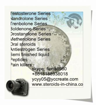 Testosterone Undecanoate 5949-44-0 Bodybuilder Raw Testosterone Powder